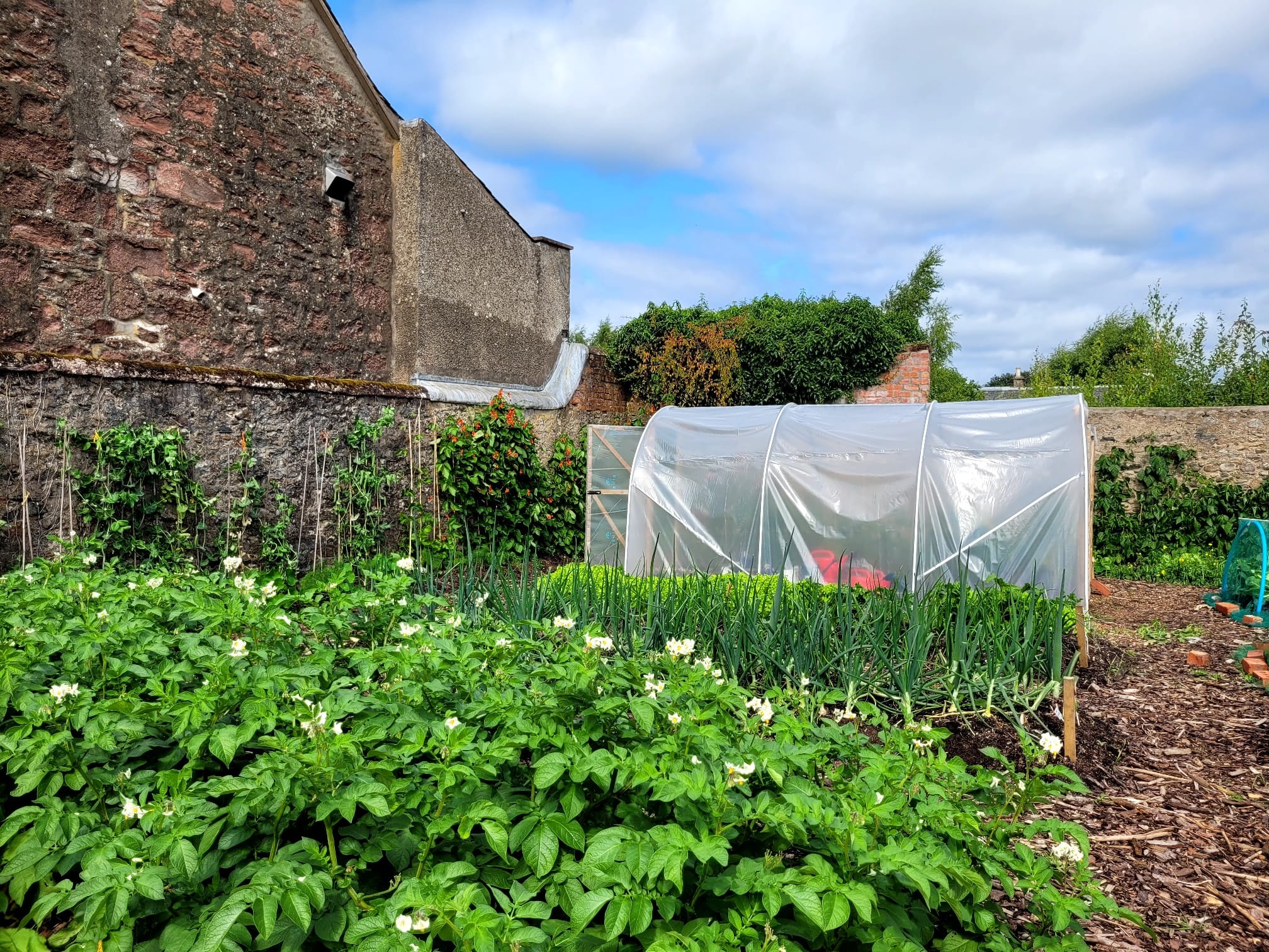 Rattray Community Garden - Wednesdays