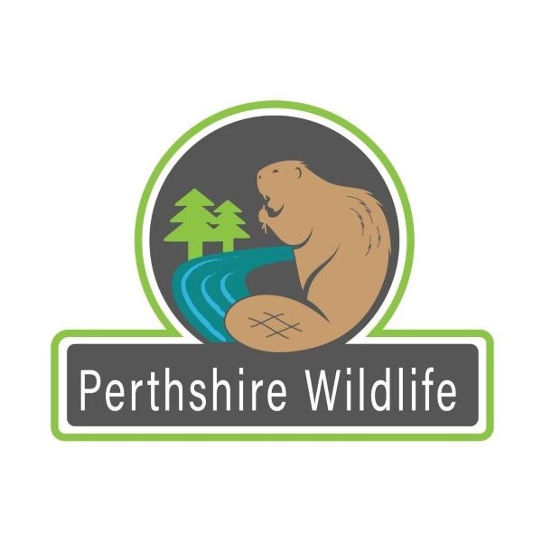 Perthshire Wildlife